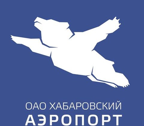 Хабаровский аэропорт поразил блогеров своим логотипом