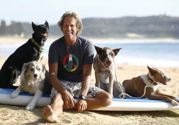 Сёрфинг для собак. Австралиец учит питомцев покорять волну