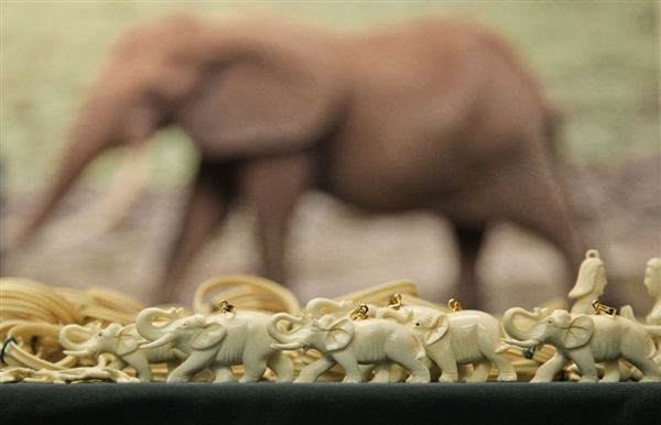 У Эйфелевой башни в Париже стерли в пыль три тонны слоновой кости, изъятой за 20 лет