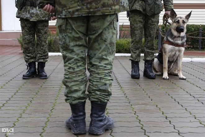 Погранслужба Украины: ночью из России прорвалась колонна с боевиками