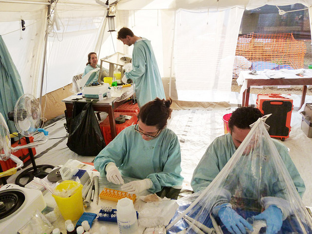 К январю число заболевших Эболой может достичь 1,4 млн