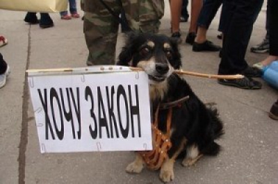 4 октября сторонники Навального проведут пикет против незаконного обогащения чиновников