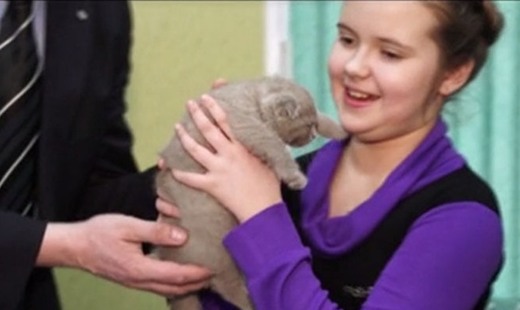 Путин подарил девочке из Мурманской области котенка