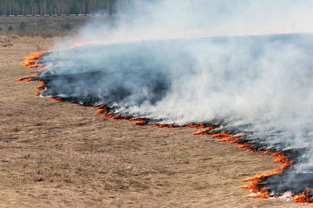 В МЧС объявили о конкурсе пожарных «пирожков» на фоне пожаров в России