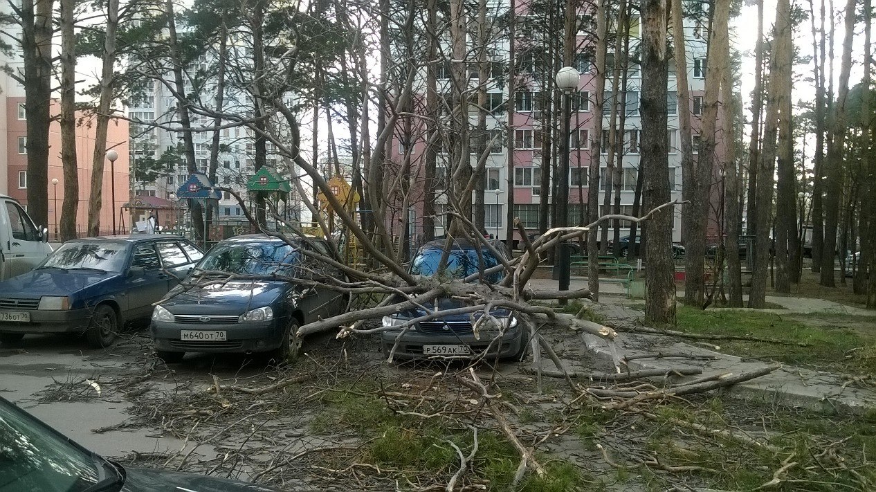 Репортаж из соцсетей: последствия урагана в Томске
