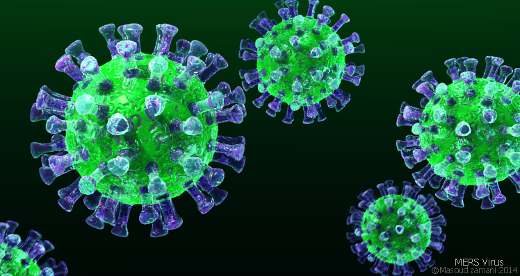 Новая чума из Азии: как убивает вирус MERS