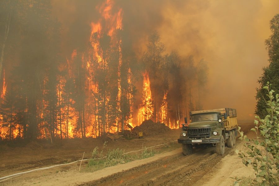 #Байкалгорит. МЧС не справляется с бушующими пожарами в Сибири (фото, видео)