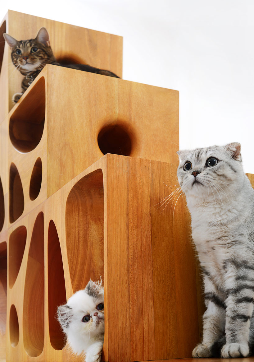 Новинки для кошатников: генератор урчания и дизайнерская мебель для котов