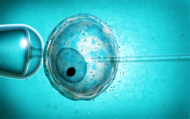 Британцы попросили разрешения изменить гены у человеческого эмбриона