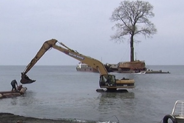 Видео: дерево весом 650 тонн перевезли по морю для грузинского миллиардера