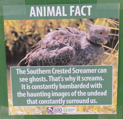 funny-animal-facts-fake-los-angeles-zoo-obvious-plant-5-57767446233fe__700