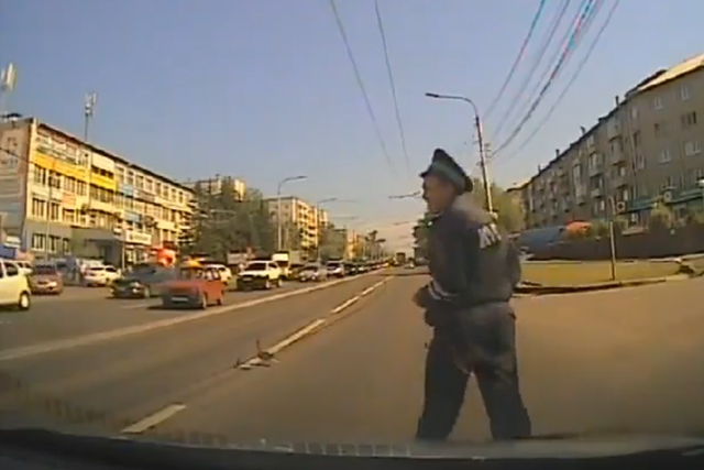 «Премию дяди Стёпы». Полицейский из Красноярска помогает утке с утёнком перейти дорогу