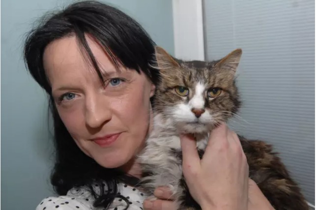 «Я расплакалась, увидев его». В Шотландии женщине вернули кота спустя 14 лет после исчезновения