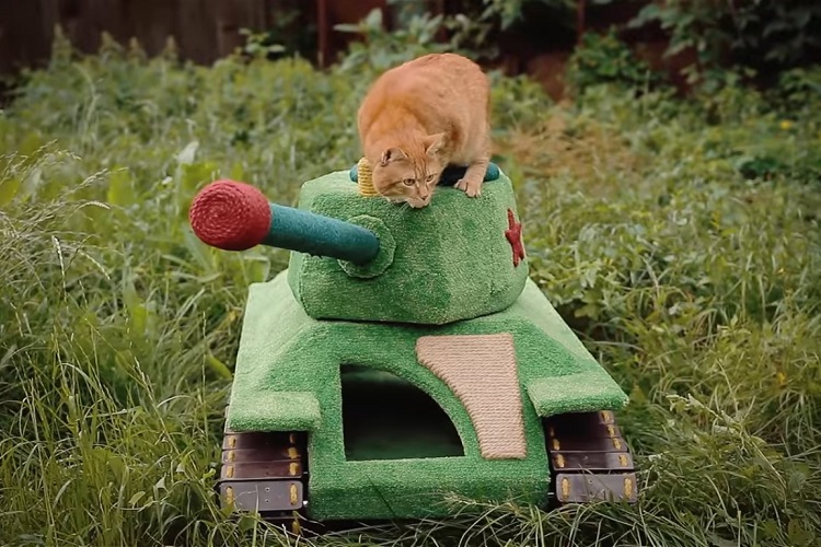 Автор «кошачьего танка» прославился на весь мир после репортажа BBC