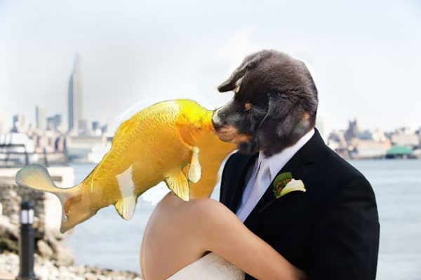 dog-kissing-fish-photoshop-battle-5-581df7fbc6ec0__605