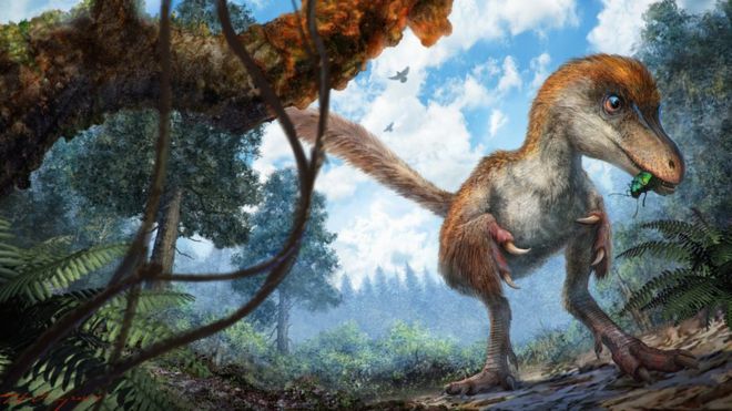 «Это не годзиллаподобные монстры». Учёные нашли на рынке янтарь с хвостом маленького пернатого динозавра