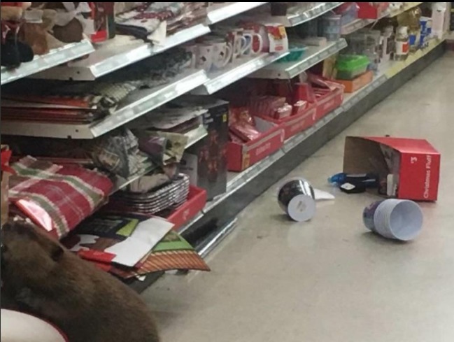 В американском супермаркете заметили бобра, выбирающего рождественские подарки