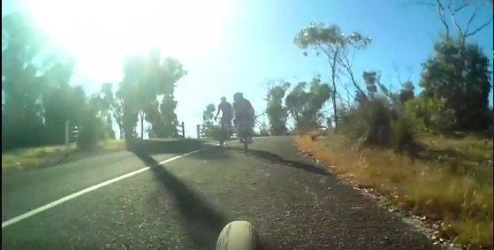Велосипедная прогулка с кенгуру, или обычный день в Австралии