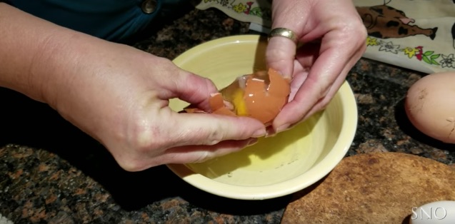 Короткая версия фильма «Начало». Фермер обнаружил яйцо внутри яйца