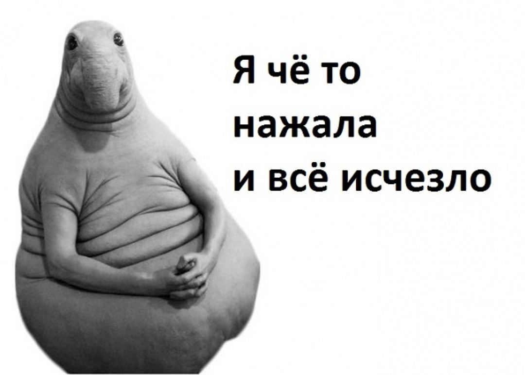 «Зато не видно мемов про Шурыгину». Во «ВКонтакте» из-за сбоя не показываются изображения