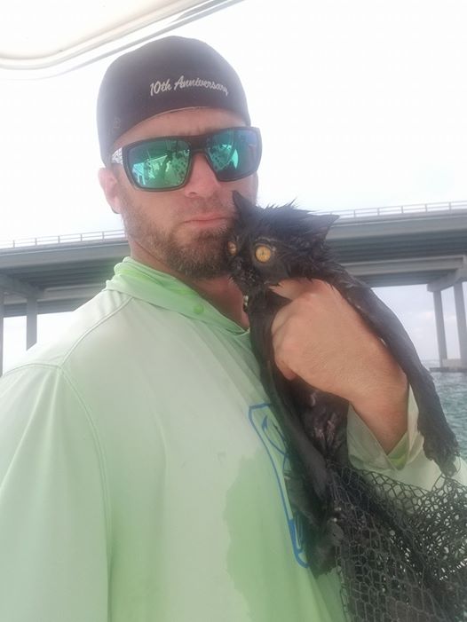 Американский рыбак спас сброшенную с моста кошку. Фейсбук готов помочь ему найти и покарать бывшего владельца
