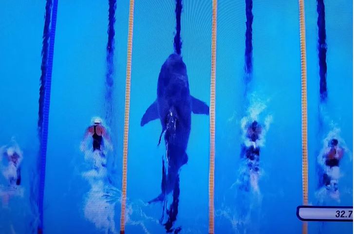 Майкл Фелпс проплыл стометровку наперегонки с акулой, но проиграл. В твиттере разочарованы, но не поэтому