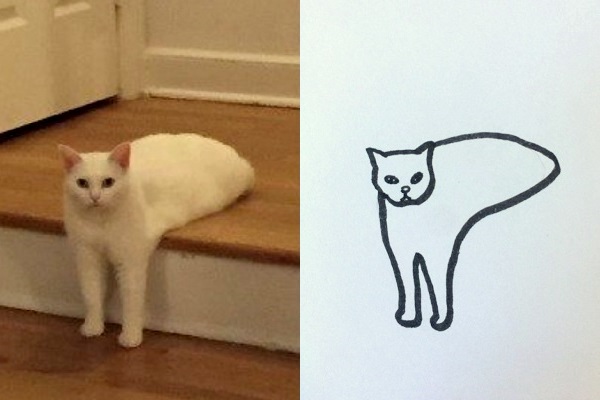 Я сделаль. Художница из Бразилии неподражаемо рисует кошек в очень странных позах
