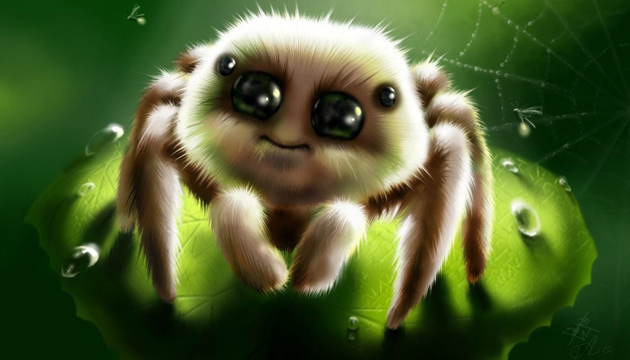 Как перестать бояться и полюбить пауков? Попробуйте не влюбиться в их мохнатые лапки