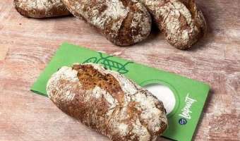 Финны запустили в продажу хлеб из сверчков. Рассказываем, как его готовить