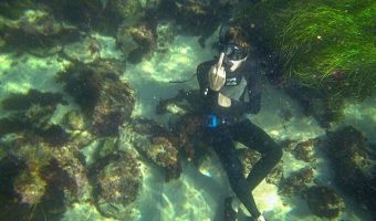 Инстаграмер объявил войну рыбам и уже больше года ныряет в море, чтобы показать им средний палец