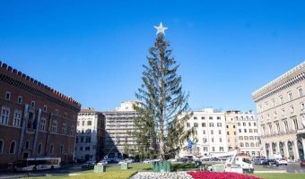 В Риме в этом году — самая грустная рождественская ель, растерявшая почти все иголки. Но стоит она 48 000 евро