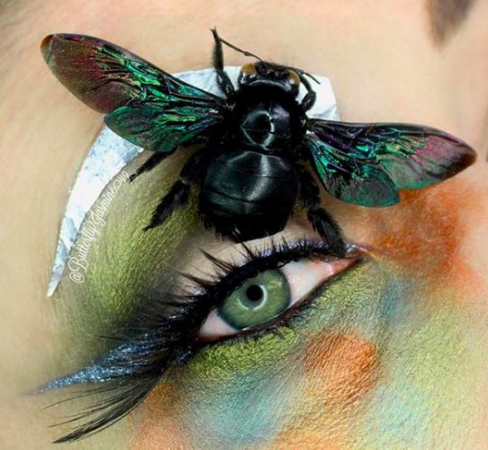 Как сделать макияж крылья бабочки