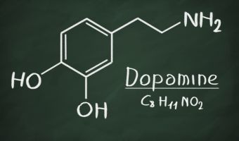 Почему дофамин стоит перестать называть «гормоном счастья» и за что он отвечает на самом деле