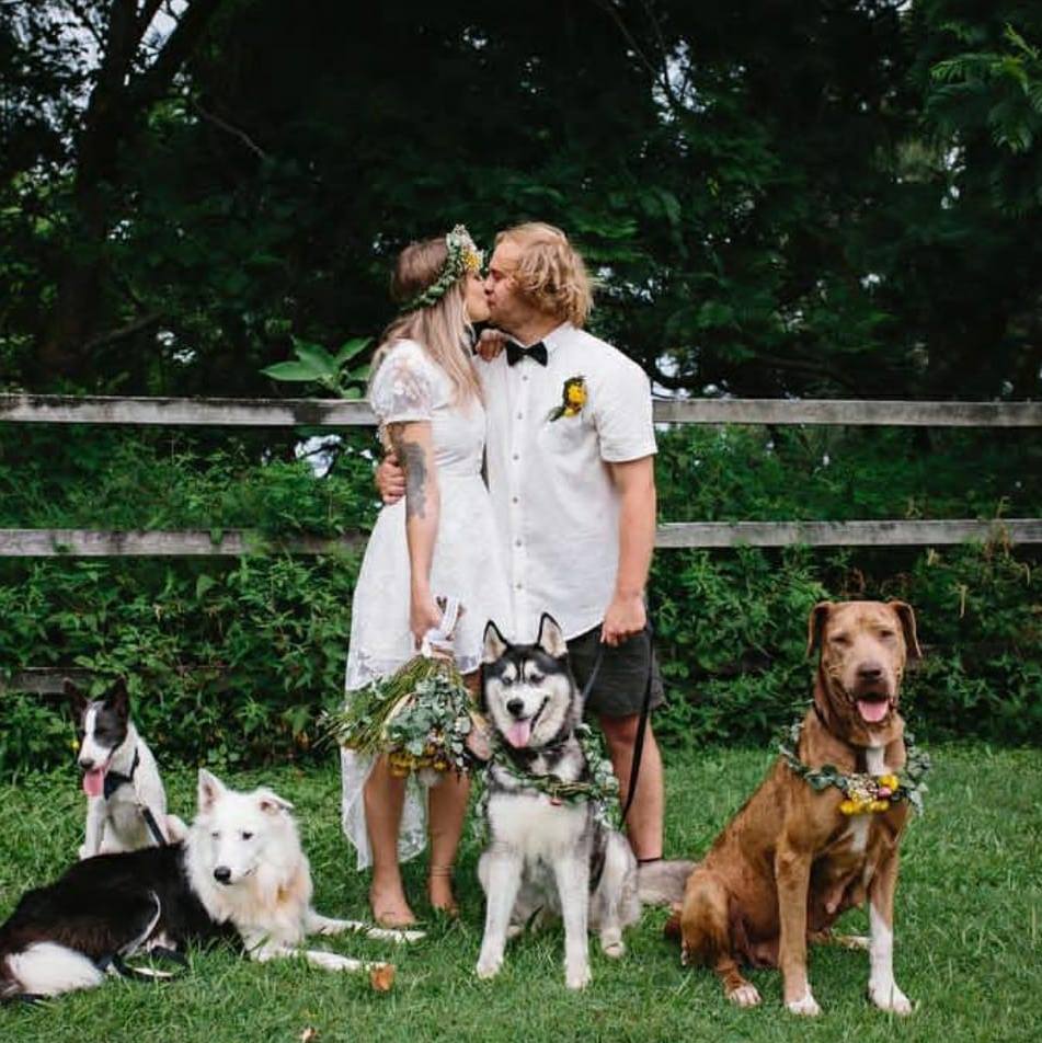 Собаки на свадьбе фото