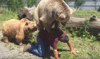 In Soviet America медведи катаются на людях. Если верить этому видео, двуногие не возражают