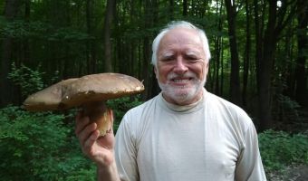 Скрывающий боль Гарольд нашёл огромный белый гриб. Это не могло не стать поводом для фотошоп-баттла