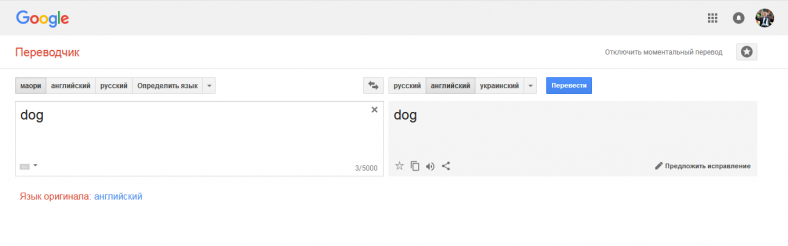 google translate predskazyvaet konec