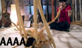 Безумный японец делает музыкальные инструменты из гигантских крабов-пауков. И они будут сниться вам в кошмарах