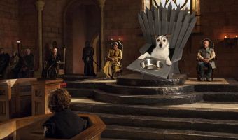 Королева Догнерис. Смешная собака ест только верхом на Железном троне, но у этой истории грустный подтекст