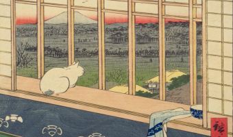 Почему недоволен кот?  Попробуйте разгадать японскую картину-загадку, которая заставит призадуматься и Шерлока