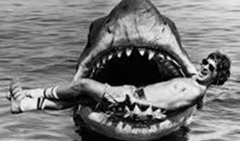 Австралийка кормила акулу с руки, но её пальчик показался хищнице вкуснее. Всё едва обошлось