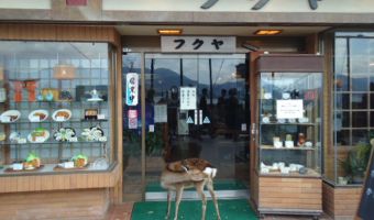 Японские олени устроили ресторану штурм в стиле мафиози. И это самая милая якудза, которую вы видели