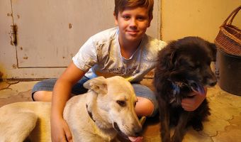 Мальчику из Ростова не хватало денег на лечение собаки. Он заработал их так, что впору доставать платочки
