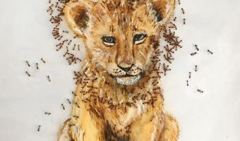 Художница из ЮАР пишет картины совместно с муравьями. Получается эффектно, но даже они требуют зарплату