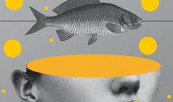 Тасманский музей снял для кафе рыбно-психоделическую рекламу, от которой можно впасть в транс. Мы предупредили