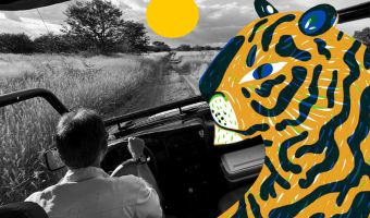 Огромный тигр начал преследовать туристов во время сафари. Пришлось понервничать — ведь у джипа нет крыши