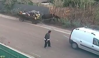Мужчина падает, пока машина тащит лошадь, съезжающую в кювет. Самое загадочное ДТП, к которому много вопросов