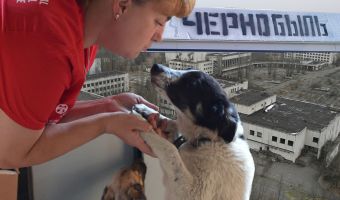Одиноким чернобыльским псам нашли хозяев. Осторожно, они могут заразить вас радиоактивной любовью