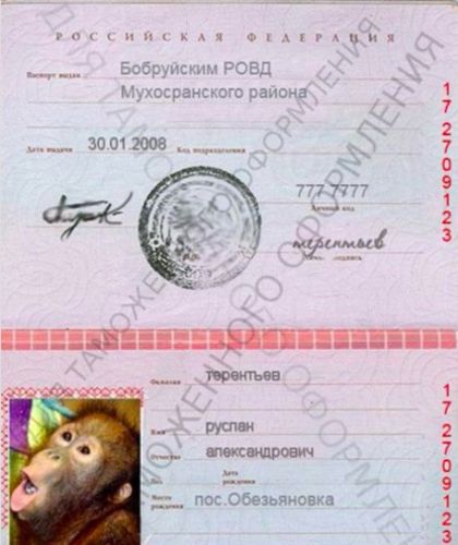 Как правильно передавать копию паспорта чтобы не взяли кредит займ на карту тверь