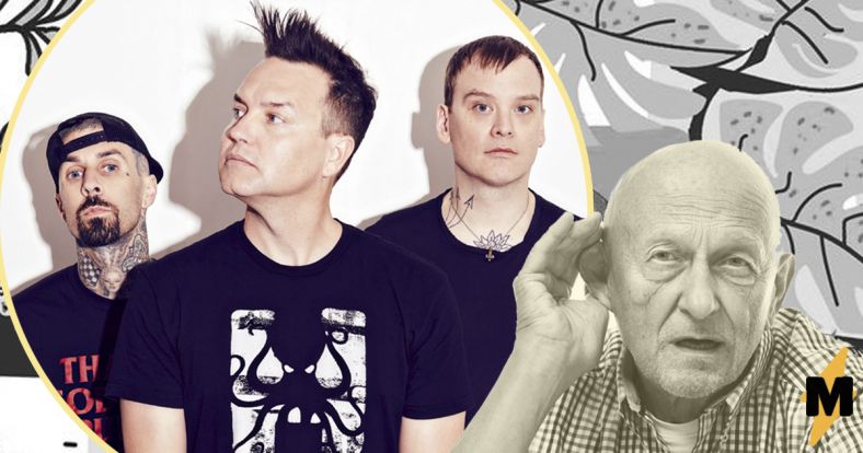 Blink 182 age again